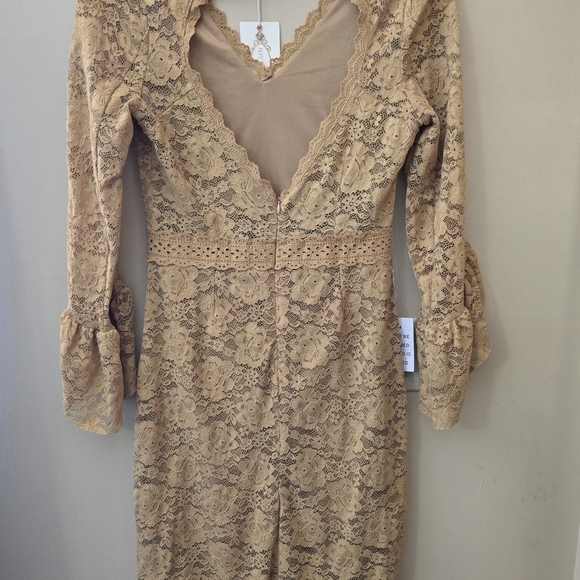 Joyfolie Elegant Lace Dress in Tan - Picture 3 of 7